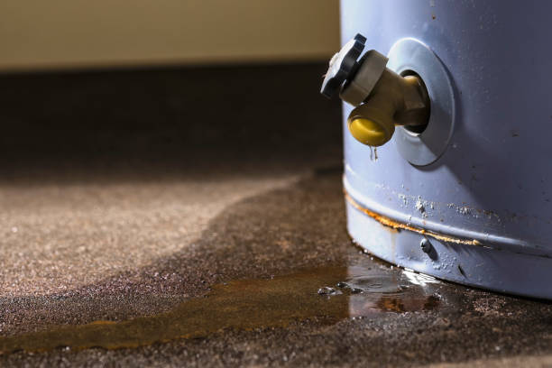 Best Water damage restoration near me  in Naval Academy, MD