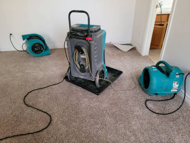 Best Flood restoration services  in Naval Academy, MD
