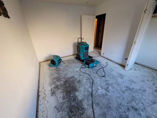 Water damage restoration insurance claims in MD