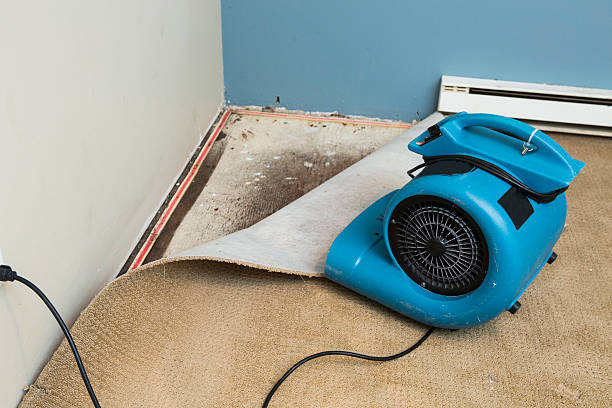 Best Professional water damage repair  in Naval Academy, MD
